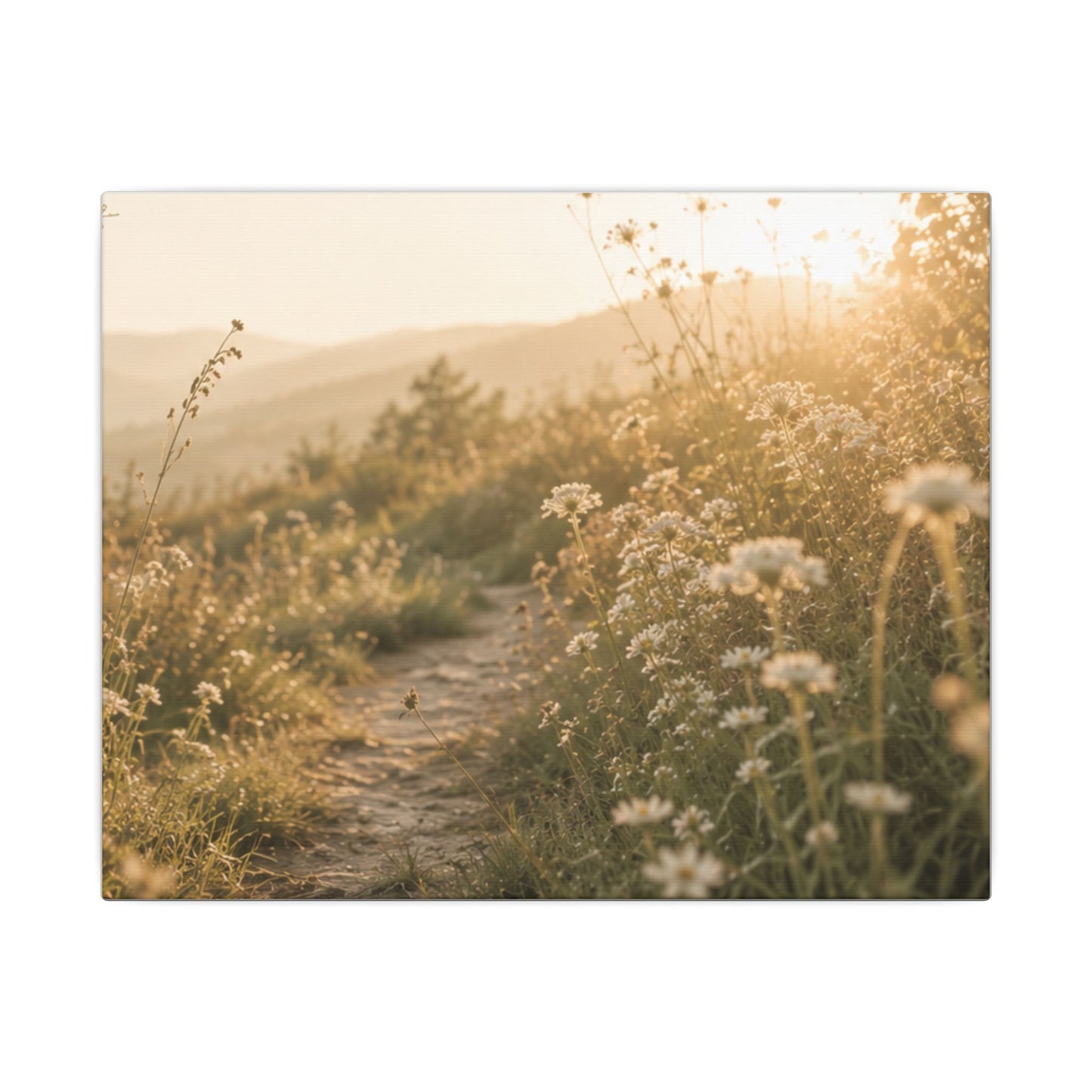 A Gentle Morning