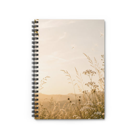 Where the Light Lingers Journal